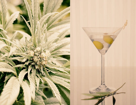 cannabis-and-alcohol