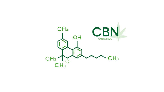 CBN-oil-effects