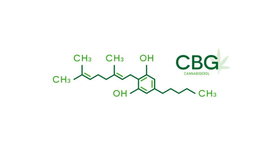 CBG-oil-effects